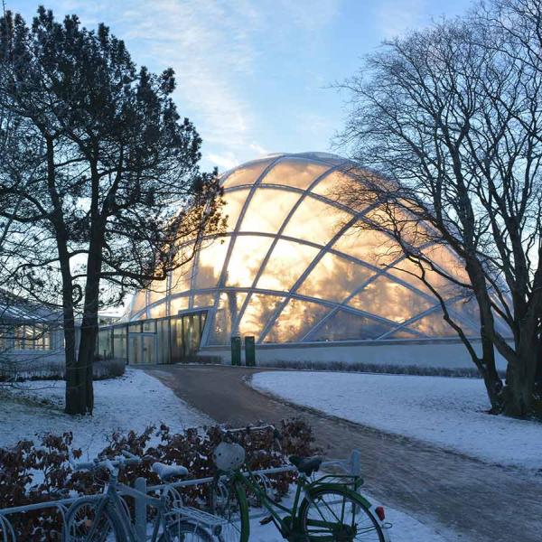 Væksthusene i Aarhus i vinteromgivelser