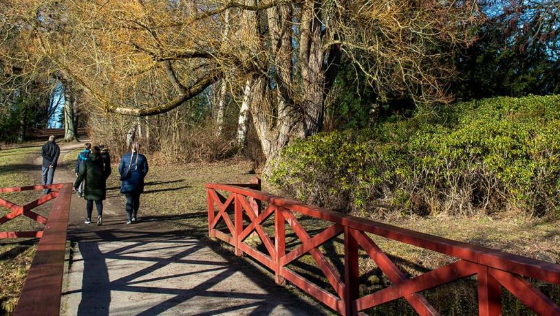 Doktorparken i Randers