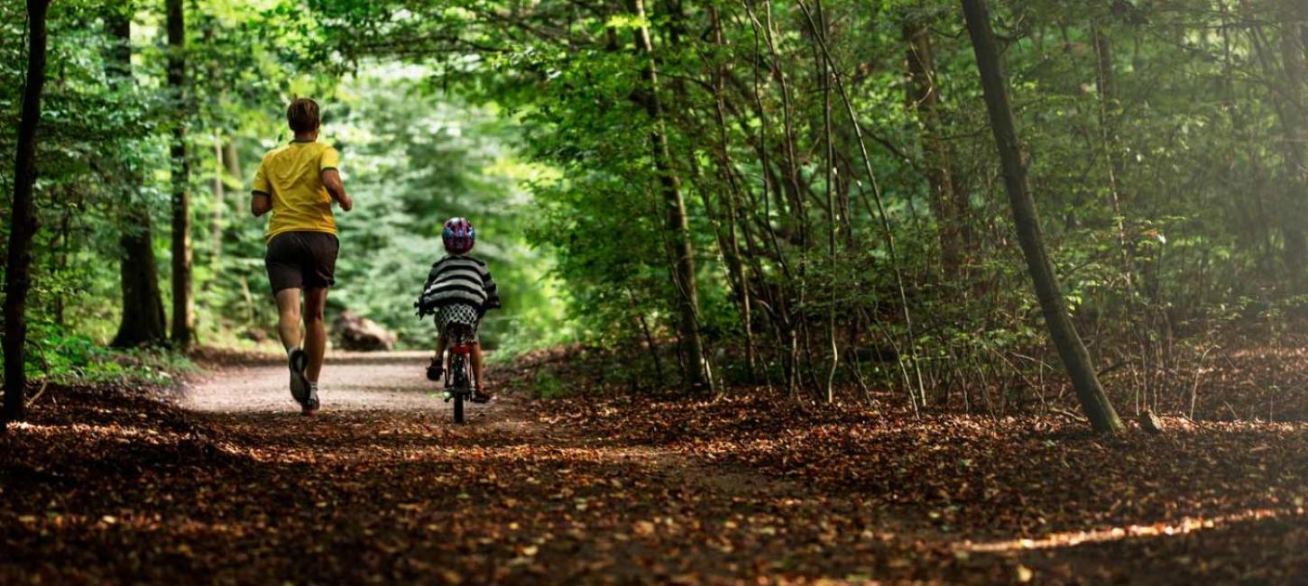 Die Marselisborg Wälder, Aarhus