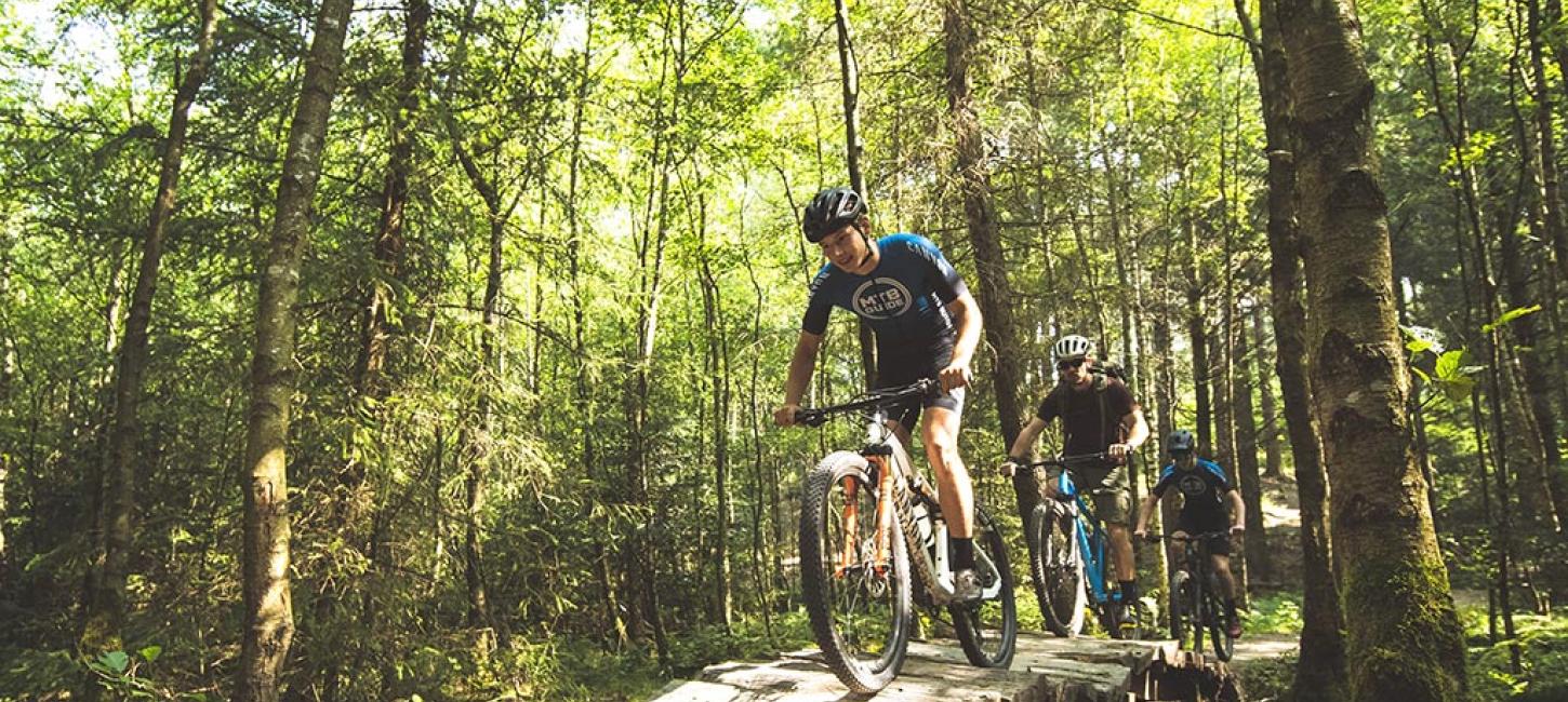 Venner på mountainbike - MTB i Silkeborg Skovene