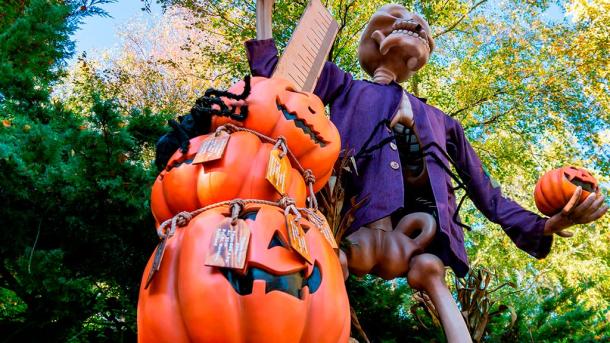 Halloween i Djurs Sommerland