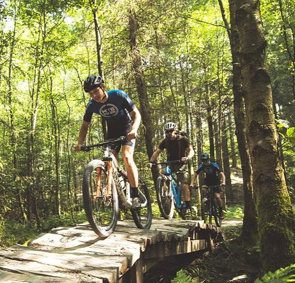 Venner på mountainbike - MTB i Silkeborg Skovene