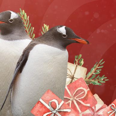 Julehygge for pingviner i Kattegatcentret
