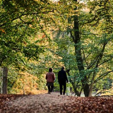 Par går efterårstur i skoven i Aarhus