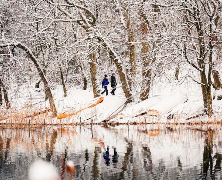 Almind Sø i vinterklæder